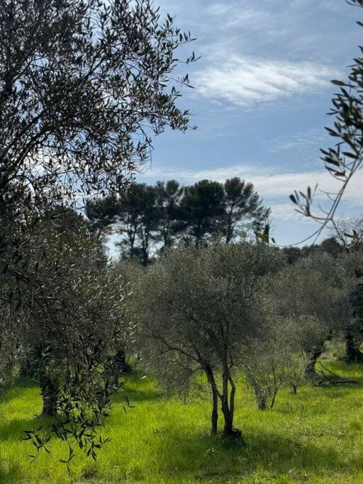 Maison Rayon De Soleil Opio Dış mekan fotoğraf